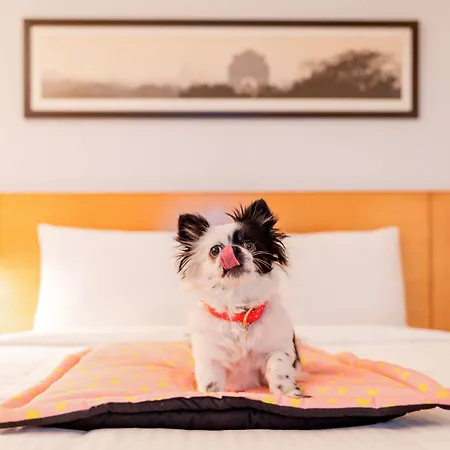 Ibis Airport - An Accor Brand 4*