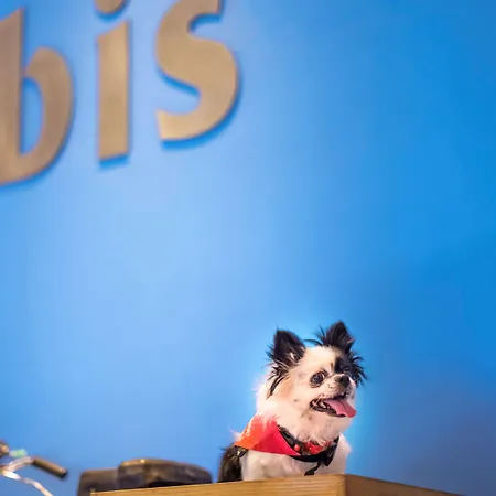 Ibis Airport - An Accor Brand Hotel 4*