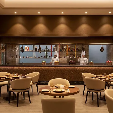Radisson Andheri Midc Mumbai