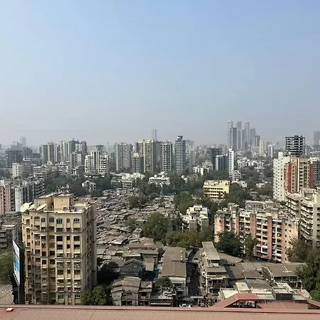 Mauli Nest *