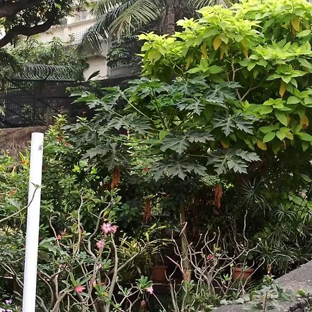 Seaview Bandra W Nr Taj Indian Women Only *