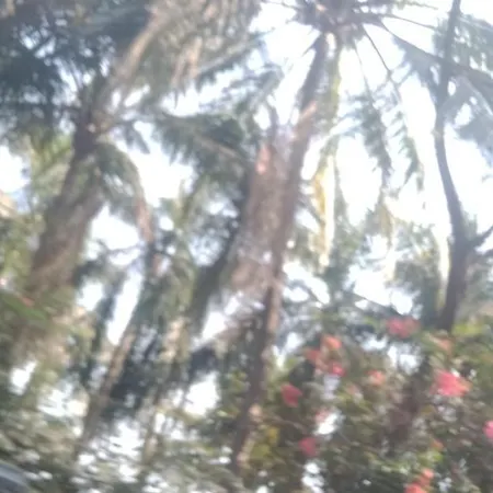 Farm stay Royal Palms Mumbai
