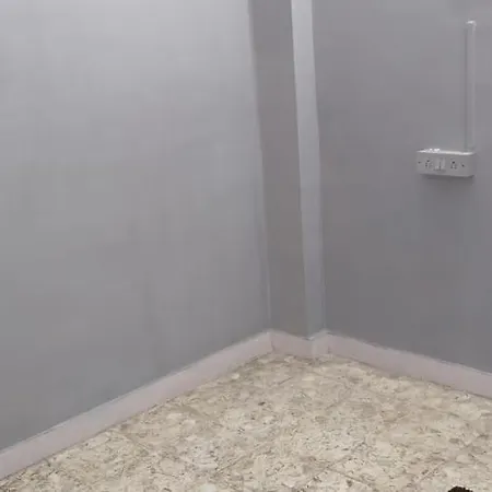 1 Bhk Flat In Suraj Venture Mahim West *
