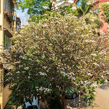 Homestay Ivory Seaside Near Carter Road, Bandra West, Mumbai