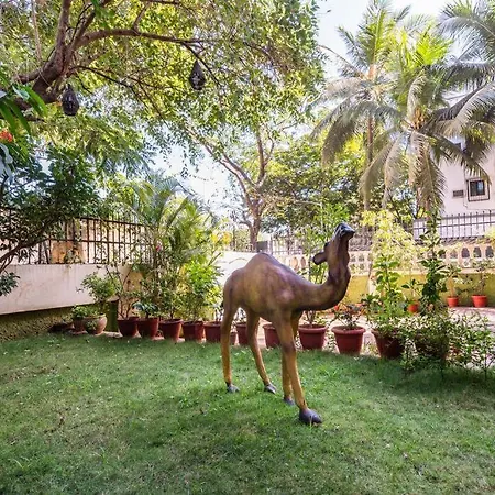 Apartment Elegant Duplex For Your Staying Pleasure *