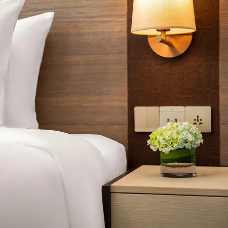 Radisson Andheri Midc