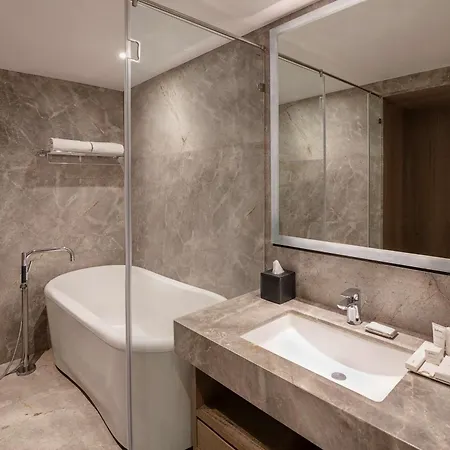 Radisson Andheri Midc Mumbai