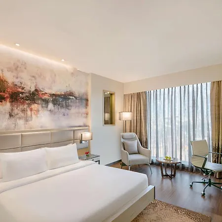 Radisson Andheri Midc 5* Mumbai