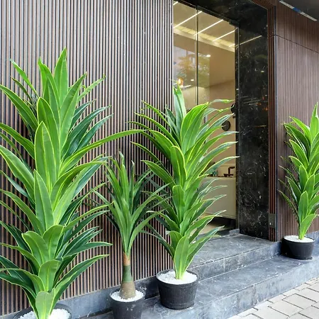 Hotel Ozone Colaba Mumbai