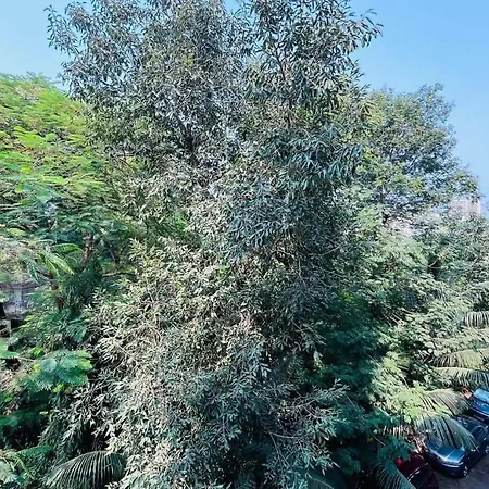 Khar West : Apple Apartment *