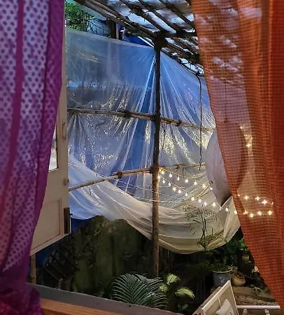 Homestay 101 *