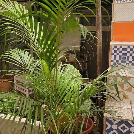 101 * Mumbai