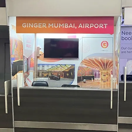 Hotel Ginger Airport 4*
