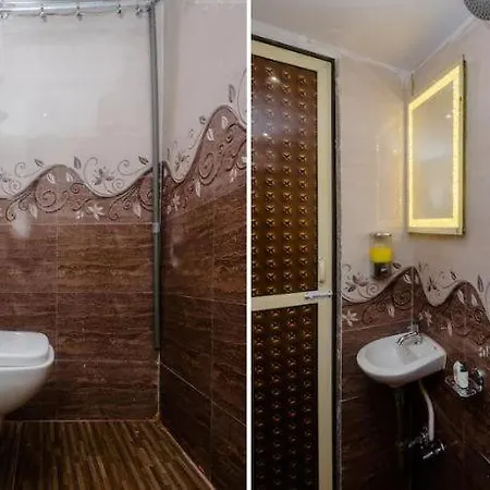 Hotel Wind Flower New Aadya International Near International Airport 3*