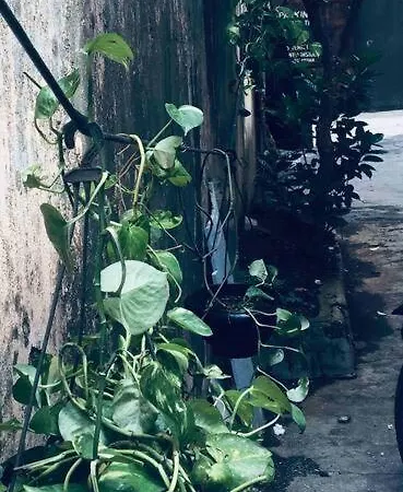Apartment A Goan Feel Studio