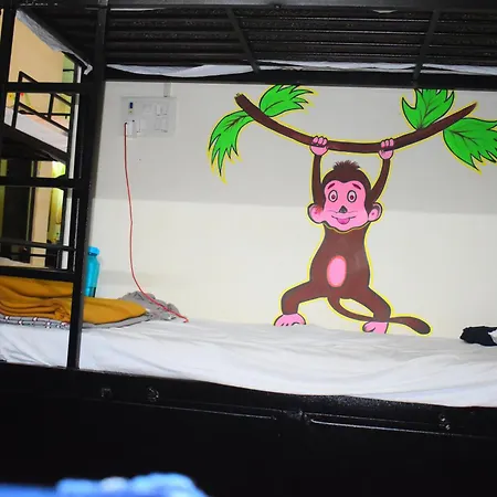 Solo Hostel *