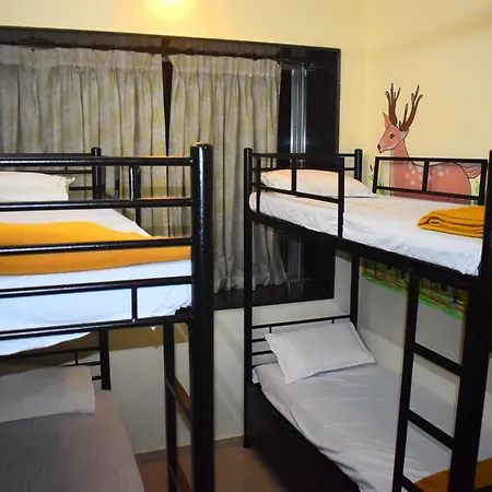 Hostel Solo