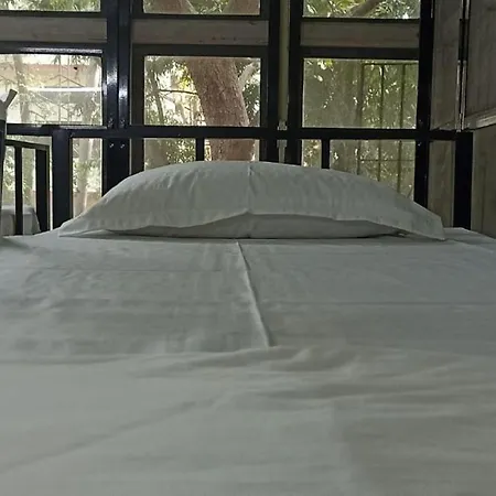 Kritika Accoommdates P G Hostel *