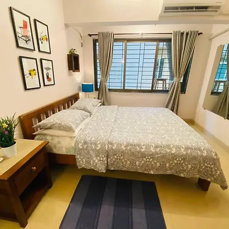 Nature Inspired Sun Drenched 1br In Bandra Apartment Mumbai