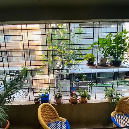 Apartment Nature Inspired Sun Drenched 1br In Bandra *