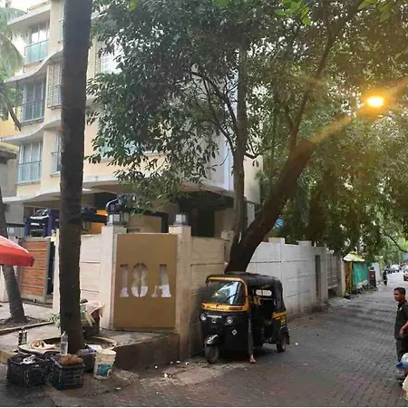 Apartment Nature Inspired Sun Drenched 1br In Bandra