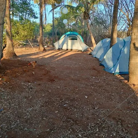Luxury tent Dapoli Nature Camp