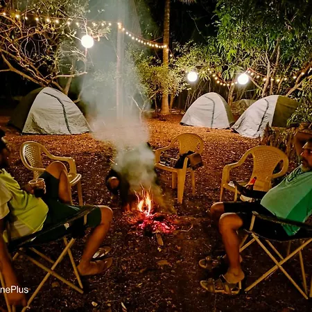 Dapoli Nature Camp *