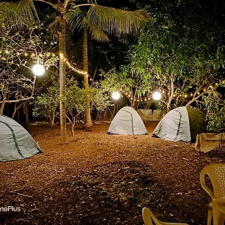 Dapoli Nature Camp Luxury tent *