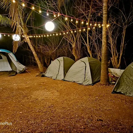 Dapoli Nature Camp Mumbai
