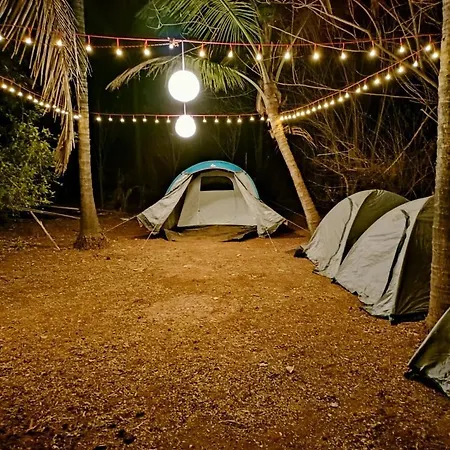 Dapoli Nature Camp *