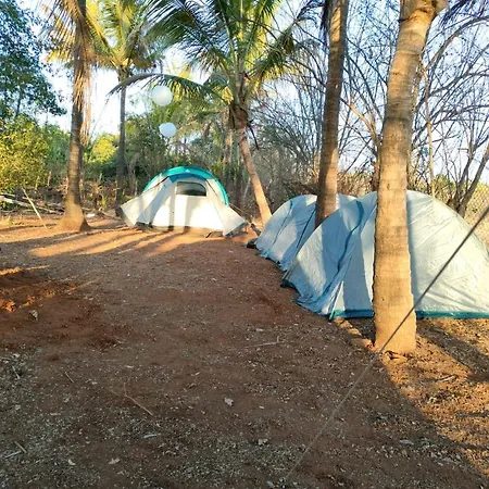 Dapoli Nature Camp Mumbai