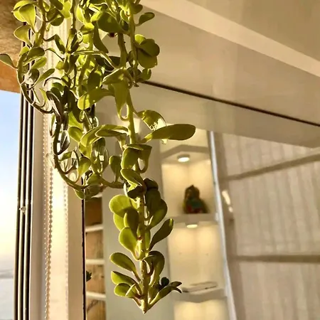 Top-floor Oceanfront Designer In Bandra Apartment