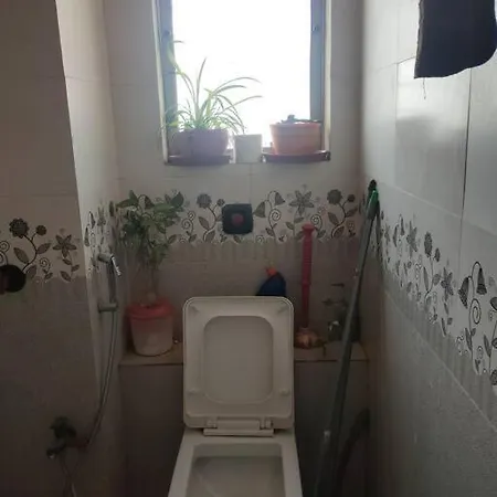 Nature's Apartment