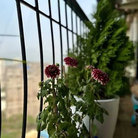 Apartment Nature's *