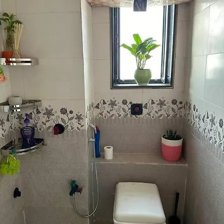 Nature's Apartment *