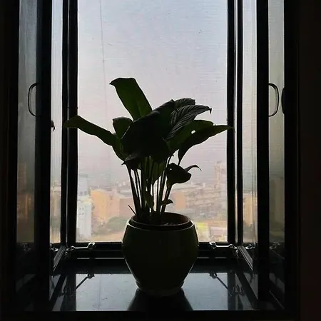Nature's Mumbai