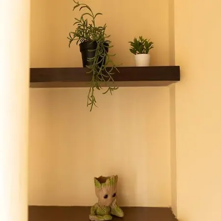 Spacious, Bright, Centre 3bhk Apt Nr Airport Apartment *