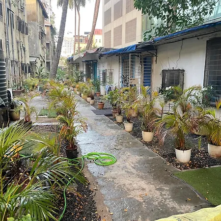 Independent 25 Corner House Bandra West Apartment
