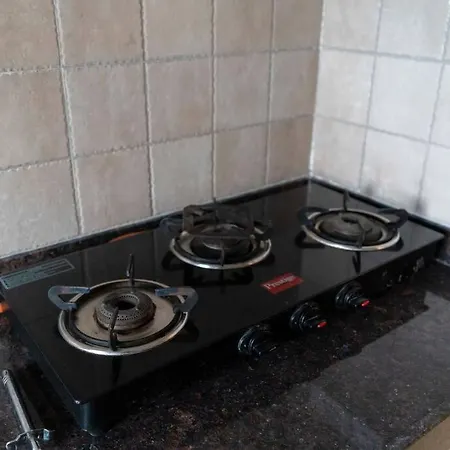 Spacious, Bright, Centre 3bhk Near Airport *
