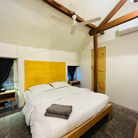 Rose 3bhk Bandra W By The Company - Eco * Mumbai