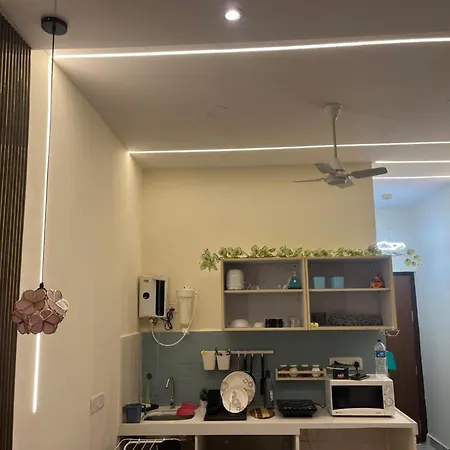 Ivy Splendour Private B, Oshiwara