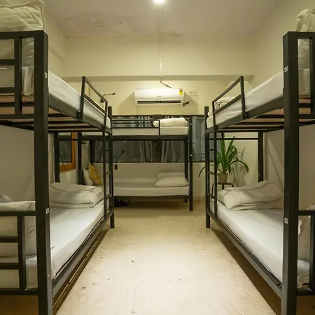 Locomo Hostel Express - Stay Work Eat Hostel *