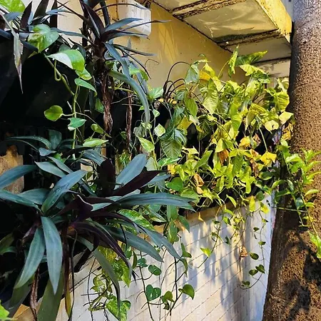 Verandah Myrah 2bh With Plunge Pool Mumbai