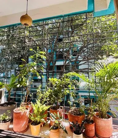 Private 1bhk- Decor By Interior Designer Apartment