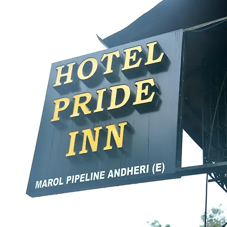 Hotel Pride Near Airport T2 *