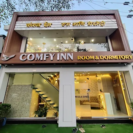 Comfy Hostel