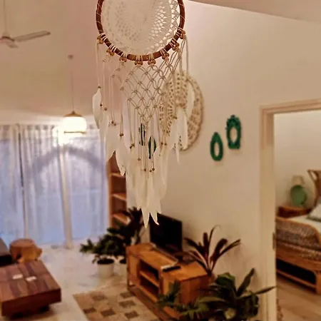Shine Apartment
