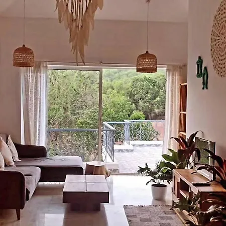 Apartment Shine