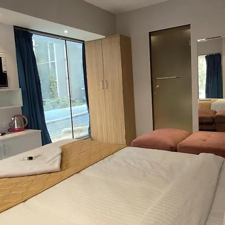 Grand Dyad - Near Kokilaben Hospital Andheri West 3* Mumbai