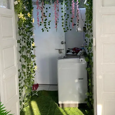 Apartment Pixiestays Forest House Juhu West Mumbai